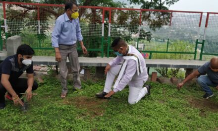 विश्व पर्यावरण दिवस के अवसर पर  कर्नाटक द्वारा किया गया वृहद वृक्षारोपण