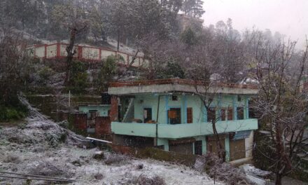 चुनावी गर्म मौसम में बर्फबारी ने की ठंडक, अल्मोड़ा में मौसम का पहला हिमपात।