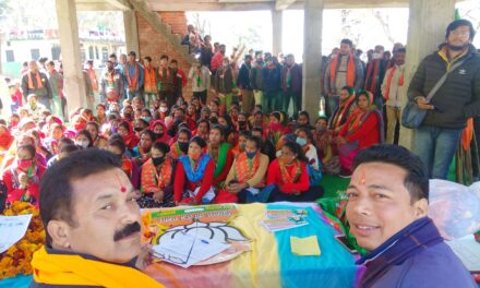 ग्राम सभा शैल में भाजपा प्रत्याशी कैलाश शर्मा के समर्थन में दर्जनों लोगों ने थामा भाजपा का दामन