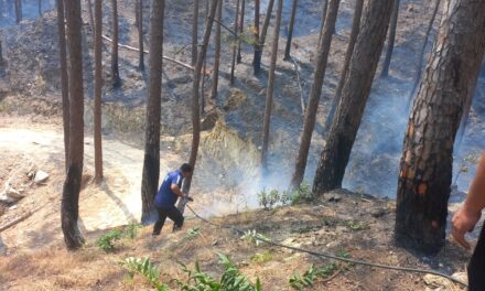 भैसवाड़ा फर्म के पास जंगल में लगी आग को फायर सर्विस टीम द्वारा बुझाया गया।