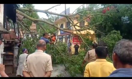 द्वाराहाट पुलिस ने बारिश एवं आधीं तूफान से द्वाराहाट क्षेत्र के 02 अलग-अलग सड़क मार्गों में गिरे पेड़ों को हटाकर किया यातायात सुचारु