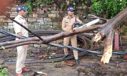 कोतवाली अल्मोड़ा पुलिस द्वारा आंधी तूफान, तेज बारिश से M.E.S के पास सड़क पर गिरे पेड़ को हटाकर बाधित यातायात को किया सुचारू