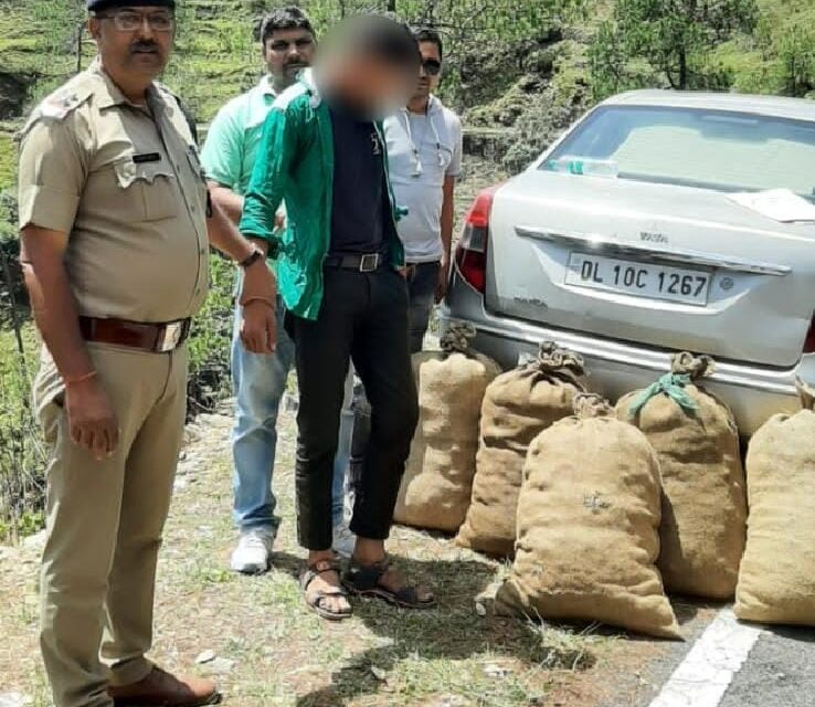 अल्मोड़ा पुलिस के निशाने पर हैं नशे के सौदागर, एसओजी एवं सल्ट पुलिस की संयुक्त टीम ने 08 लाख रुपये से अधिक गांजे के साथ एक युवक को किया गिरफ्तार,
