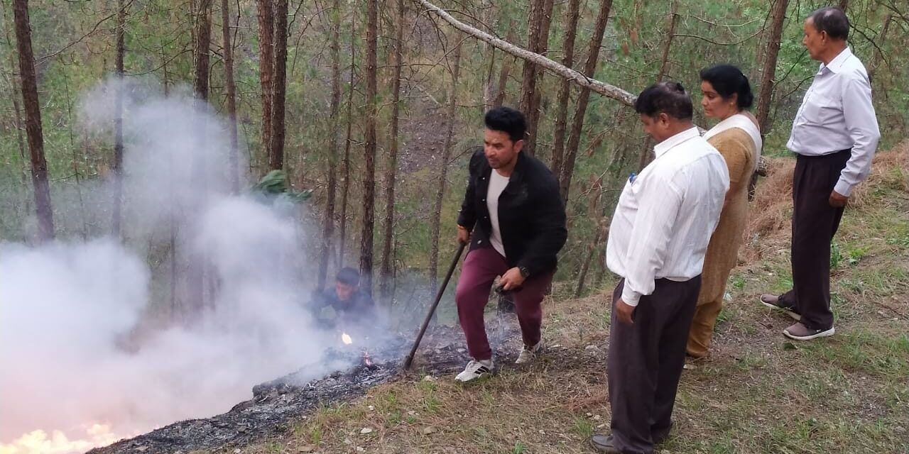 लोगों की सूझबूझ से पाया गया आग पर काबू, सभासद अमित साह ने वन विभाग और जनतावका जताया आभार