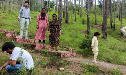 विहान सामाजिक एवं सांस्कृतिक संस्था,अल्मोड़ा ने हरेला पर्व पर गंगनाथ मंदिर के पास किया वृक्षारोपण