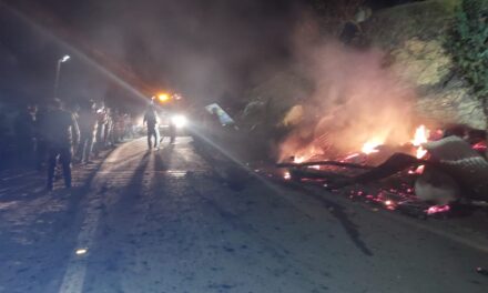 राजपुरा में लगी आग दुकान के साथ एक कार भी जली