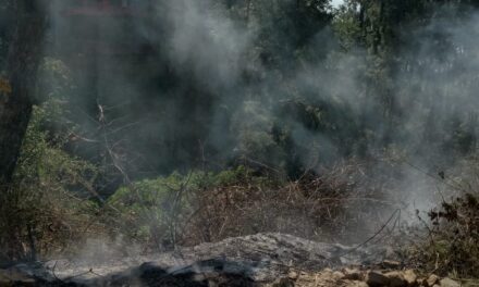 कर्नाटकखोला में लगी आग को सभासद एवं स्थानीय नागरिकों ने तत्परता से बुझाया