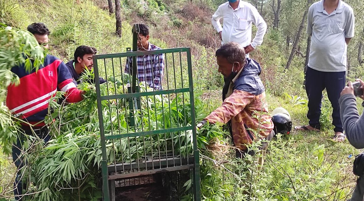 सभासद अमित ने वन विभाग से वार्ता कर कर्नाटक खोल में तेंदुए के लिए लगवाया पिंजरा