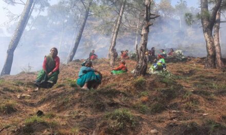 बढ़ती वनाग्नि की घटनाओं की रोकथाम के लिए स्वयं सहायता समूह एवं ग्रामीण संगठन भी बढ़चढ़ के आ रहे है आगे