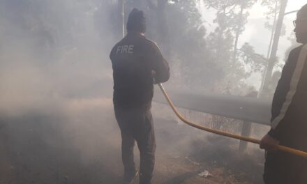 फायर स्टेशन अल्मोड़ा के जवानों ने शैल बैंड कसार देवी जंगल से आबादी की ओर बढ रही आग को त्वरित कार्यवाही कर बुझाया