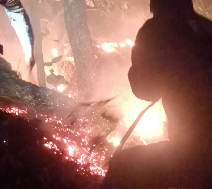 फायर यूनिट अल्मोड़ा द्वारा पांडेखोला बस्ती के पास जंगल में आग लगने की सूचना पर त्वरित कार्रवाई कर कड़ी मशक्कत के बाद आग को बुझाया