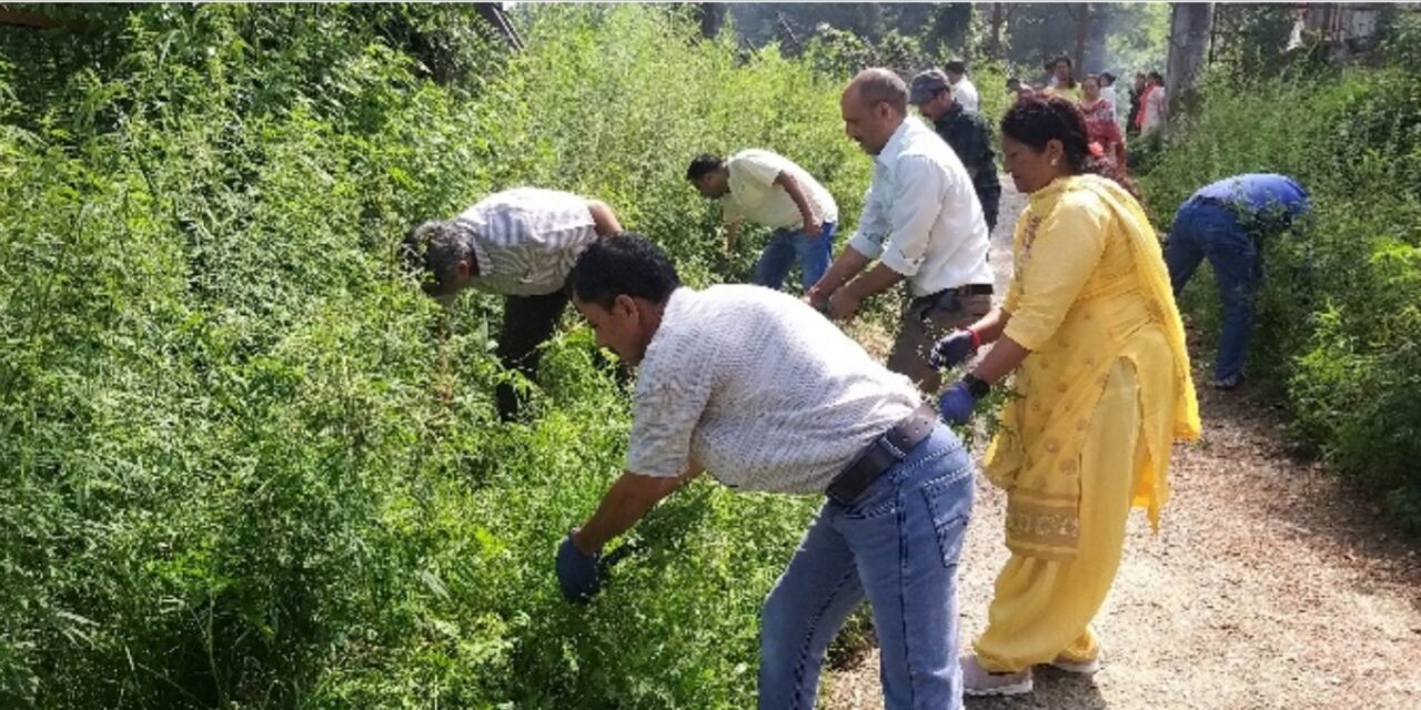 भाकृअनुप-विवेकानन्द पर्वतीय कृषि अनुसंधान संस्थान, अल्मोड़ा ने किया 18वें गाजरघास जागरूकता सप्ताह का आयोजन ।