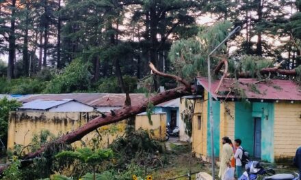 अचानक आई  आंधी तूफान से नगर के पास कई जगहों पर गिरे पेड़, आपदा प्रबंधन की टीम पहुंची मौके पर