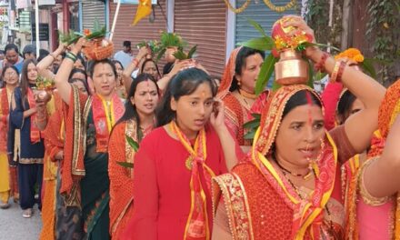मां दुर्गा समिति चौघान पाटा में पूरे विधि विधान से शुरू हुई मां दुर्गा की पूजा अर्चना
